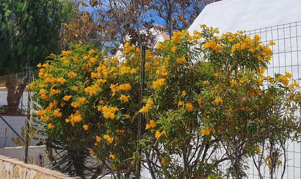 Casa Ocho Anos Lägenhet Corralejo Exteriör bild